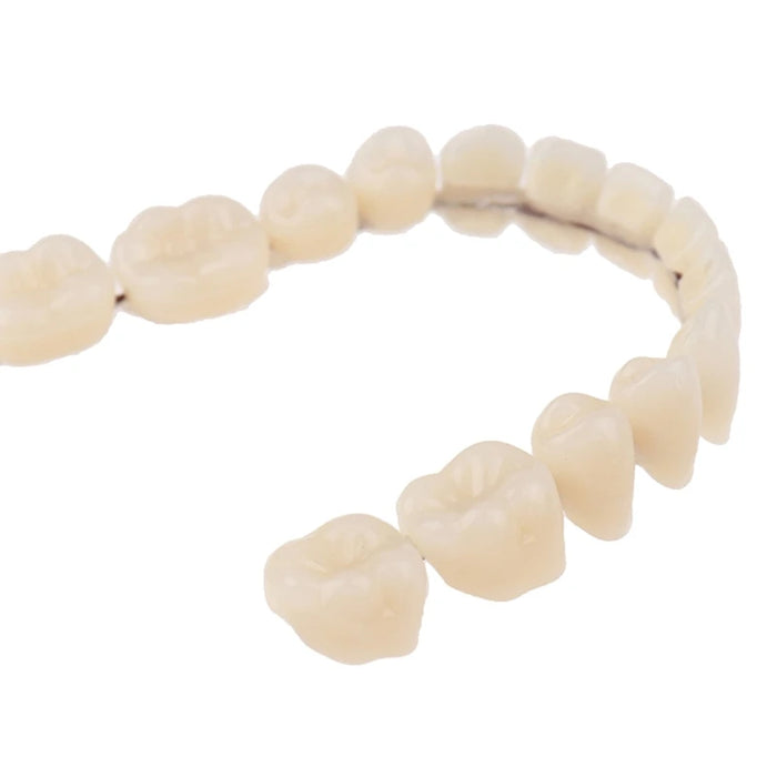 Resin Teeth Denture Upper Lower Shade Artificial Preformed Dentition Oral Care Material Tool