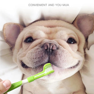 Pet Toothbrush Kit Dental Care Three Heads Dog Toothbrush Finger Toothbrush Teeth Care Dog Cat Cleaning Mouth Dog Toothbrush Kit