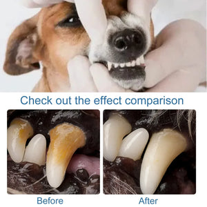 Pet Tartar Removal Foam Dog Tartar Plaques Cleaning Breath Freshener Deodorant Prevent Dental Calculus Cat Teeth Oral Cleaner