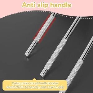 Stainless Steel Toothpick Set Tooth Flossing Reusable Toothpicks Portable Oral Cleaning Tools Teeth Cleaner for Oral Care