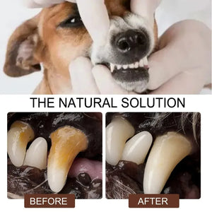 Pet Tooth Cleaning Spray Dogs Oral Cleaning Dental Care Deodorization Spray Pet Supplies Cats Remove Bad Breath Freshener 30ml