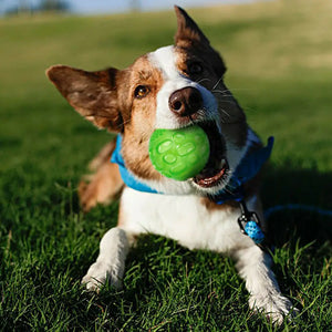 Pet Dog Puppy Sounding Toy Squeaky Tooth Cleaning Ball Playing Pet Teeth Chew Rubber Toy Float Funny Pet Dental Care Accessories