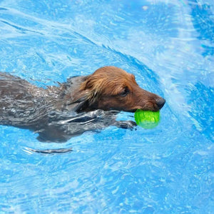 Pet Dog Puppy Sounding Toy Squeaky Tooth Cleaning Ball Playing Pet Teeth Chew Rubber Toy Float Funny Pet Dental Care Accessories