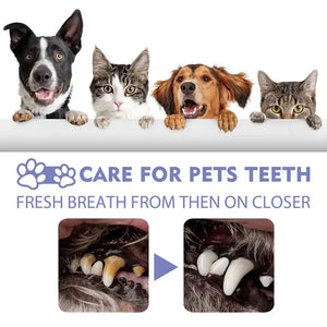 DogTeeth Cleaning Spray OralCare Cats Mouth Fresh RemoveTooth Freshener Deodorant Tartar Oral Stains Care Breath Pet Puppy Z7F0