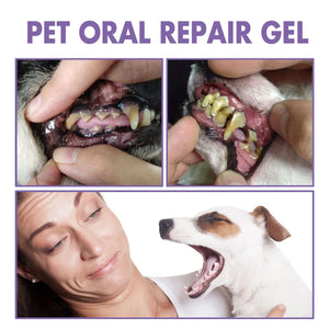 Pet Teeth Cleaning Pen Dog Cat Tartar Plaque Remover Freshen Breath Clean Tooth Stains Deodorant Repair Gum Pet Oral Care Gel