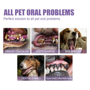 Pet Teeth Cleaning Pen Dog Cat Tartar Plaque Remover Freshen Breath Clean Tooth Stains Deodorant Repair Gum Pet Oral Care Gel