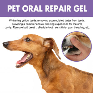 Pet Teeth Cleaning Pen Dog Cat Tartar Plaque Remover Freshen Breath Clean Tooth Stains Deodorant Repair Gum Pet Oral Care Gel