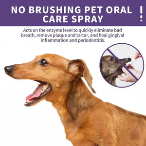 Fresh Breath For Dogs Fresh Breath Teeth Cleaning Spray For Pet Oral Care Pet Oral Essentials For Whiten Teeth Stain Removal