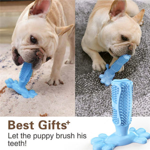 Dog Cactus Interactive Rubber Chew Toys For Small Large Dogs Tooth Cleaning Toothbrush For Small Large Dogs Treat Dispenser Pet