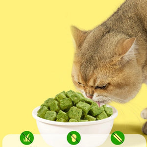 Grass Catnips Cat Chews Cat Dental Care Chewing Snacks Cat Teeth Cleaning Freeze Dried Cat Hairball Control Treats