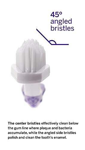 petsmile Professional Dog Toothbrush | Patented 45° Bristles Dual-Ended Dental Brush Head Cleans Teeth for Small and Large Pets | Promotes Healthy Gums and Oral Hygiene | VOHC Approved Brand