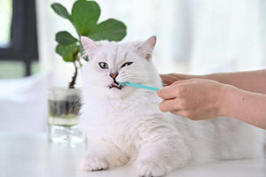 Soft Cat Toothbrush with 360-degree Head | Safe, Effective and Deep Pet Teeth Cleaning | Brush Away Bad Breath | Food Grade Silicone (2 Pack, Mint Green, Rose Pink)