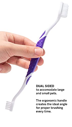 petsmile Professional Dog Toothbrush | Patented 45° Bristles Dual-Ended Dental Brush Head Cleans Teeth for Small and Large Pets | Promotes Healthy Gums and Oral Hygiene | VOHC Approved Brand