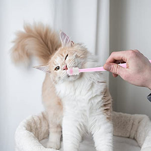 Molain Dog Toothbrush 360 Degree, 2 Set Silicone Handle Cat Toothbrushes with Storage Box, Puppy Dogs Pet Tooth Cleaning Kit (Pink+Blue)