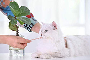 Soft Cat Toothbrush with 360-degree Head | Safe, Effective and Deep Pet Teeth Cleaning | Brush Away Bad Breath | Food Grade Silicone (2 Pack, Mint Green, Rose Pink)