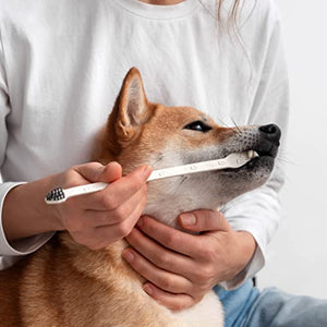 BLEEKER & RÖWE Pet Toothbrushes – Biodegradable Dog Toothbrush – Dual-Sided Soft Toothbrush for Dogs – Vegan and BPA-Free Soft Bristle Toothbrush – 10-Pack Individually Wrapped Toothbrushes