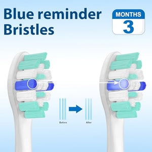 Replacement Toothbrush Heads Compatible with Philips Sonicare 4100 Toothbrush 12 Pack Refills for C1 C2 Replacement Brush Heads and Click-on Electric Toothbrush Turquoise/White B927C by Lanveda