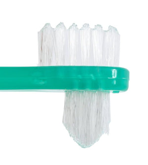 Vakly Denture Brush [Pack of 10] Individually Bagged Denture Brushes with Hard Firm Flat Bristled Heads for Cleaning Dentures, Retainers, False Teeth, Clear Braces, and Mouth Guards