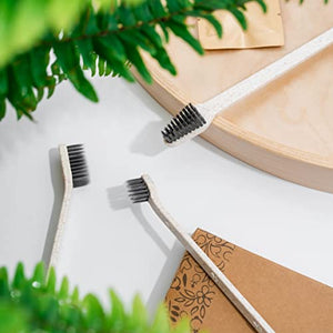 BLEEKER & RÖWE Pet Toothbrushes – Biodegradable Dog Toothbrush – Dual-Sided Soft Toothbrush for Dogs – Vegan and BPA-Free Soft Bristle Toothbrush – 10-Pack Individually Wrapped Toothbrushes