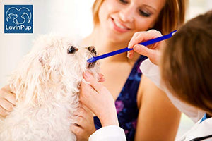 LOVINPUP Dog Toothbrush Set, Professional Dog and Cat Grooming Supplies, Best Soft Bristle Toothbrush, Pack of 2 Double Sided Toothbrushes for Large and Small Dog Teeth