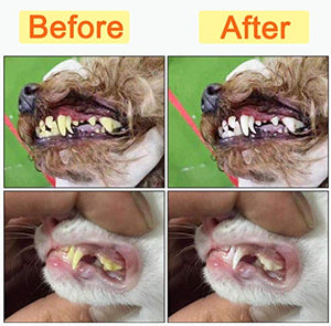 Zeyaa 10 Pack Pet Dog Toothbrush, 2 Triple Head Pet Toothbrushes 3 Double Head Tooth Brush 5 Pack Finger Rubber Toothbrushes, Multi-Angle Dental Cleaning Brushes for Dog Cat Oral Dental Health