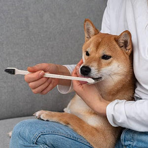 BLEEKER & RÖWE Pet Toothbrushes – Biodegradable Dog Toothbrush – Dual-Sided Soft Toothbrush for Dogs – Vegan and BPA-Free Soft Bristle Toothbrush – 10-Pack Individually Wrapped Toothbrushes