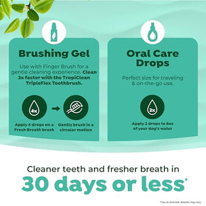 TropiClean Fresh Breath Dog Oral Care Kit for Large Dogs | Total Care System for Plaque & Tartar Control | Dog Tooth Brushing Kit for Large Dogs
