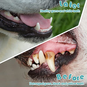 200 Pieces Dog Toothbrush Double Headed Dog Cat Pet Toothbrush Long Handle Dog Tooth Brushing Kit Soft Bristles Pet Toothbrush for Dogs Cat Puppy and Most Pets Teeth Cleaning Dental Oral Care (Blue)