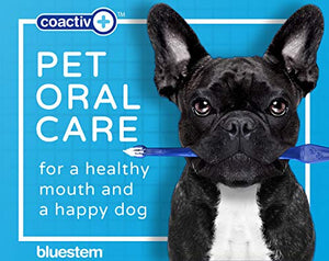 Dog Toothbrush and Toothpaste : Chicken Flavor Tooth Paste with Tooth Brush for Dogs & Cats. Teeth Brushing Cleaner Pet Breath Freshener Oral Care Dental Cleaning Kit. Tartar & Plaque Remover Brushes