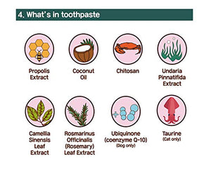 HIBOS Cat Toothbrush Toothpaste Dental Care - All in One Kit, Cat Toothpaste in Toothbrush, Cat Tooth Whitening & Cleaning, Cat Oil for Healthy Gums. (1 Count)