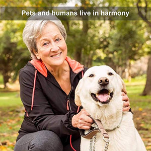 Newday 50 Pieces Double-Headed Dog Cat Pet Toothbrush, Super Soft Bristles Oral Care Teeth, pet Tooth Brush for Dogs, Dog toothbrushes in Bulk Individual polybag (Blue)