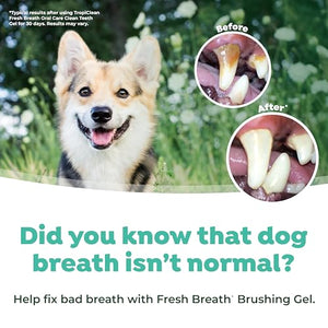 TropiClean Fresh Breath Dog Oral Care Kit for Large Dogs | Total Care System for Plaque & Tartar Control | Dog Tooth Brushing Kit for Large Dogs