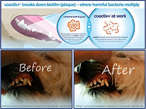 Dog Toothbrush and Toothpaste : Chicken Flavor Tooth Paste with Tooth Brush for Dogs & Cats. Teeth Brushing Cleaner Pet Breath Freshener Oral Care Dental Cleaning Kit. Tartar & Plaque Remover Brushes