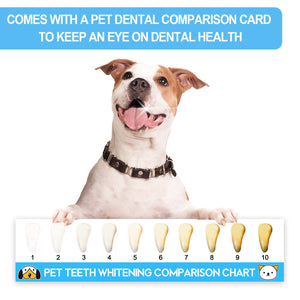 VVHOMIFE Cat Toothbrush Kit, Dog Toothbrush Kit, Suitable for All Cats and Dogs Dental Care. White, Soft Bristles, Meet All Cleaning Needs, Multi-Functional Dental Cleaning (S)