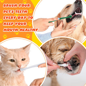 12 Pcs Cat Toothbrush Small Dog Toothbrush Mini Head Soft Bristles Dog Tooth Brush Gentle Pet Toothbrush Long Handle Tooth Brush for Puppy Cats Large and Small Dog Dental Care, 2 Colors